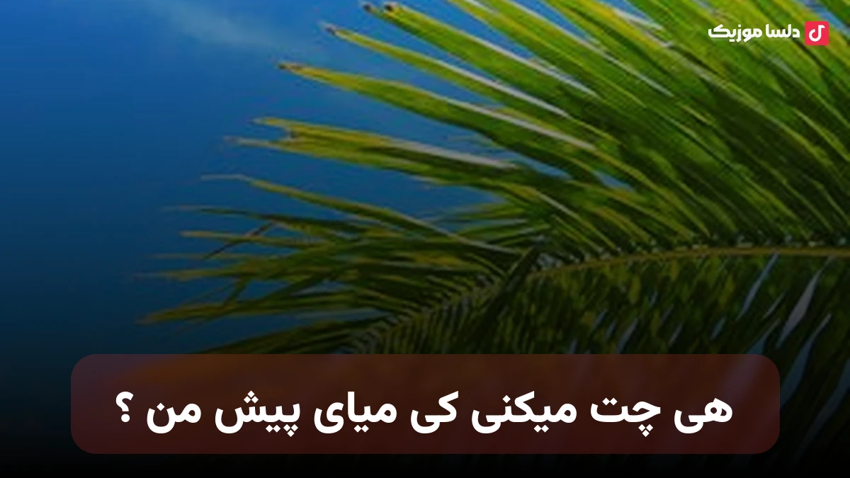 هی چت میکنی کی میای پیش من هی چک میکنی کجا بگو به من